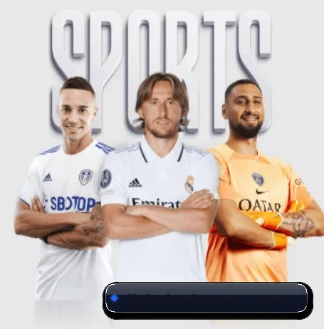 坚持做好基础的事（MKSPORTS MKSports）
